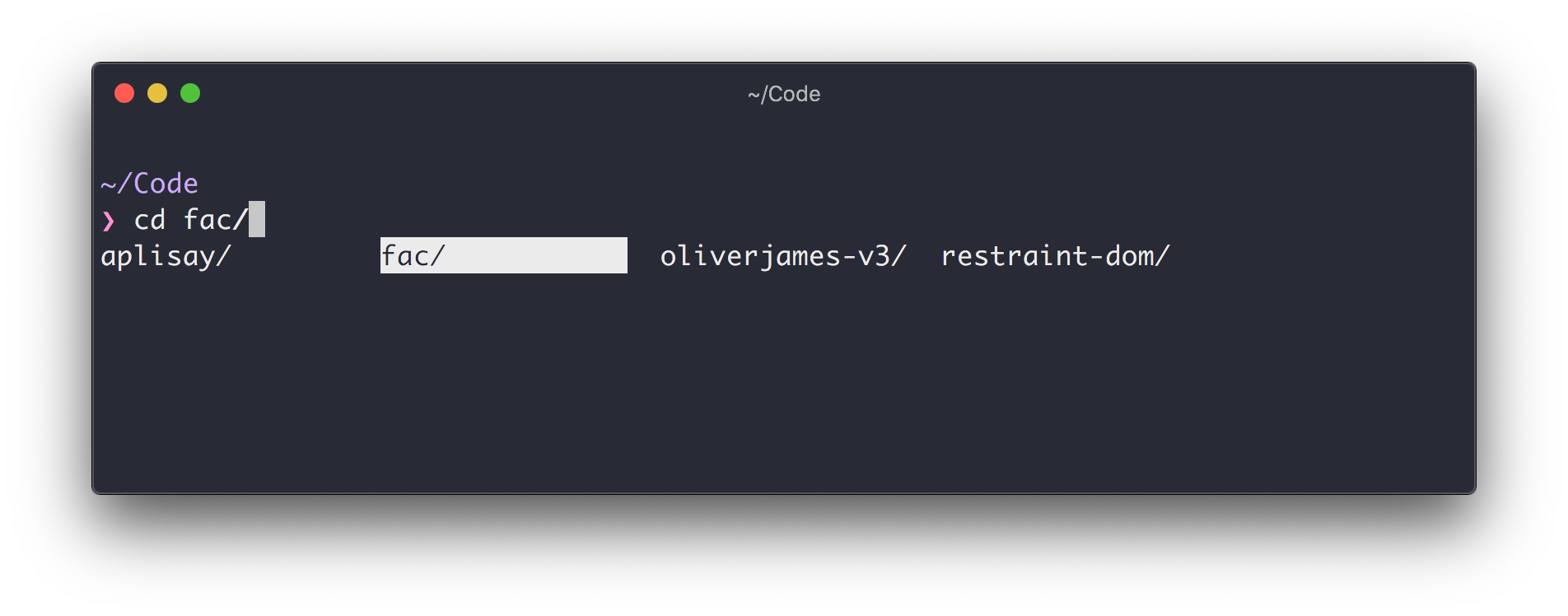 My shell highlighting a suggested directory from all available directories after I entered `cd` and hit tab